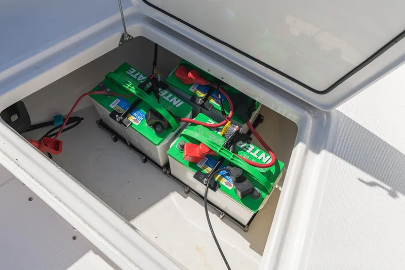 Slide: The Image of Everglades 243CC 2023 - 86