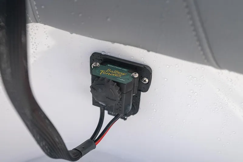 Slide: The Image of Everglades 243CC 2023 - 89