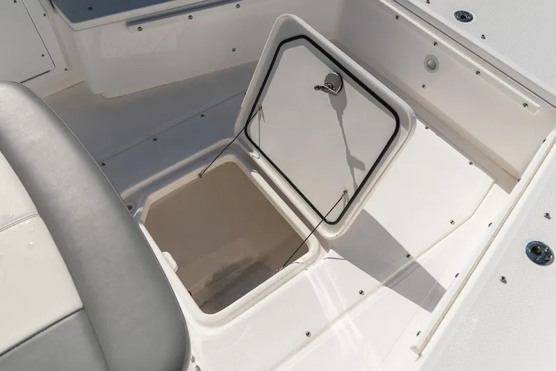 Slide: The Image of Everglades 243CC 2023 - 94