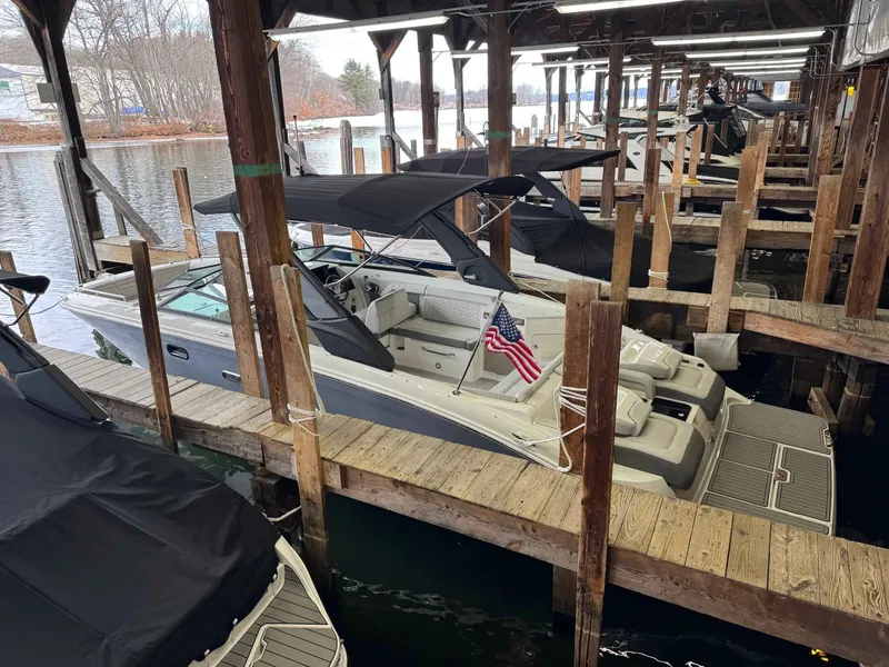 Slide: The Image of Sea Ray 290SDX 2025 - 14