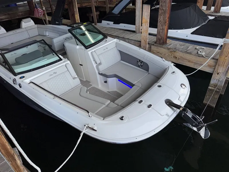 Slide: The Image of Sea Ray 290SDX 2025 - 20