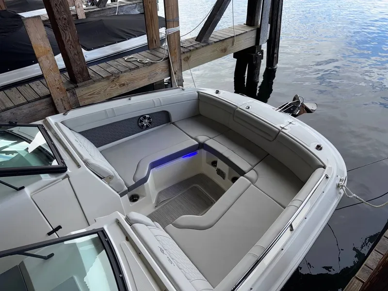 Slide: The Image of Sea Ray 290SDX 2025 - 21
