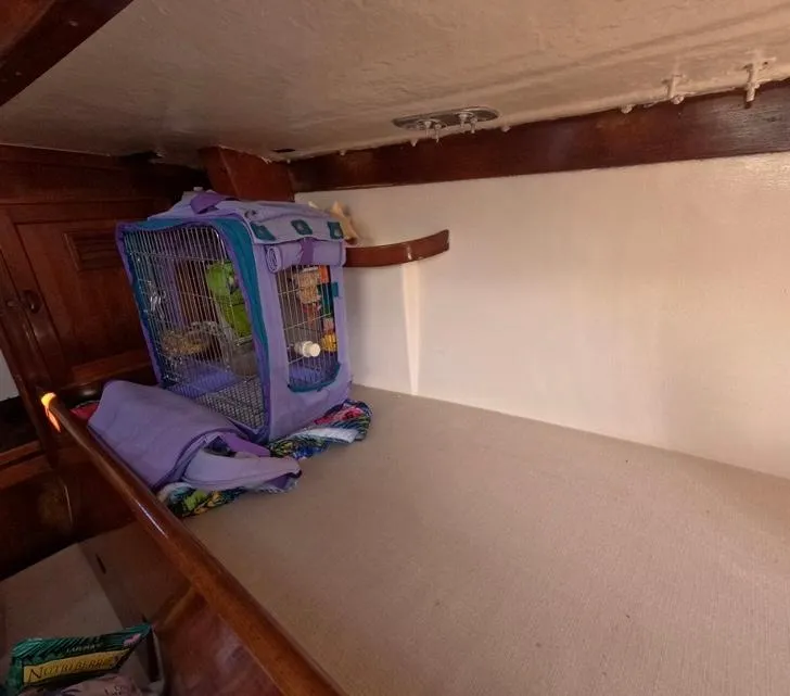 Slide: The Image of Interior of 1972 Cheoy Lee Luders 36 with birdcage on bunk. - 34