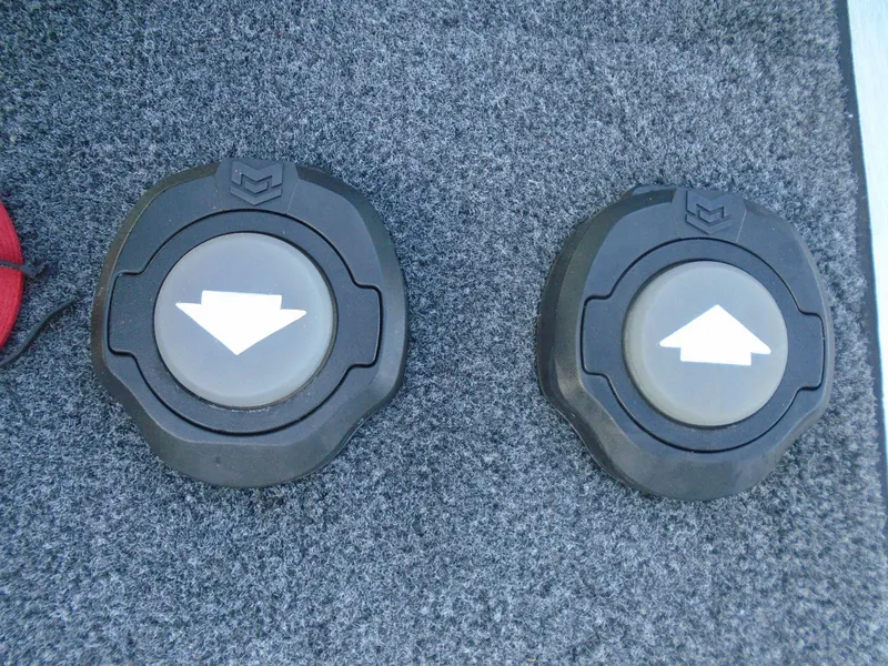 Slide: The Image of Vexus VX21 2022 boat foot pedals on carpeted surface. - 12