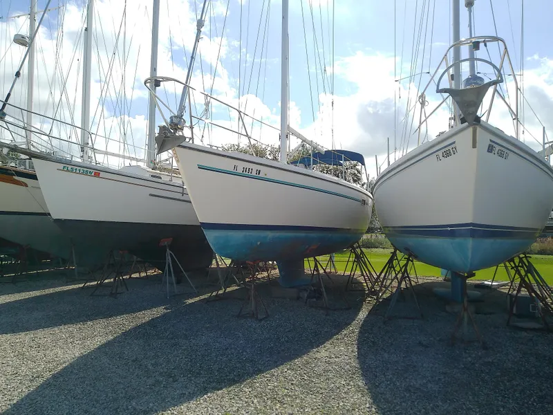 Slide: The Image of 1995 Catalina 36 MkII sailboats on stands under a sunny sky. - 3