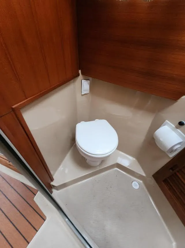 Slide: The Image of Elec Toilet - 19