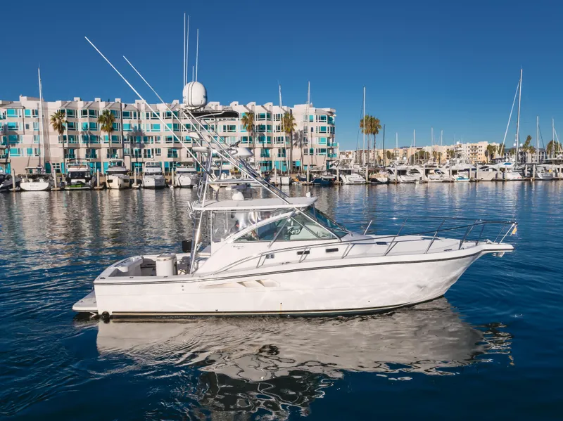 The Image of 2006 Rampage 38 Express boat docked in marina with waterfront buildings. - 0