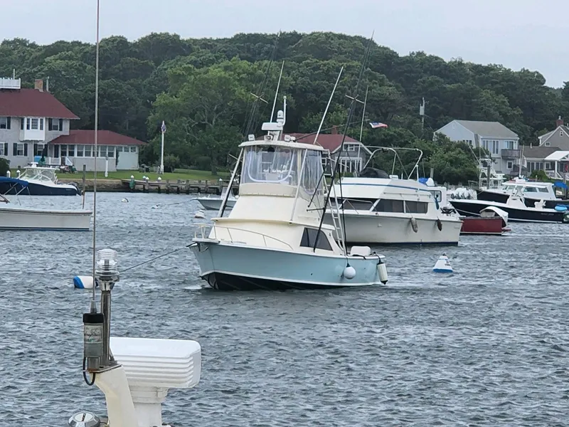 Slide: The Image of 1961 Bertram 31 Flybridge Cruiser anchored in a scenic marina with surrounding boats. - 1
