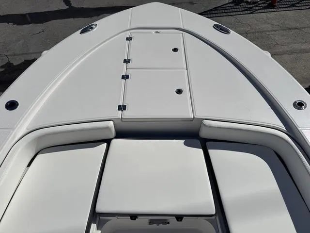 Slide: The Image of Robalo 246 Cayman 2024 - 8