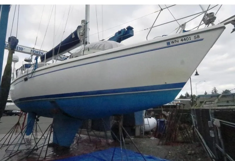 Slide: The Image of Haulout - 3