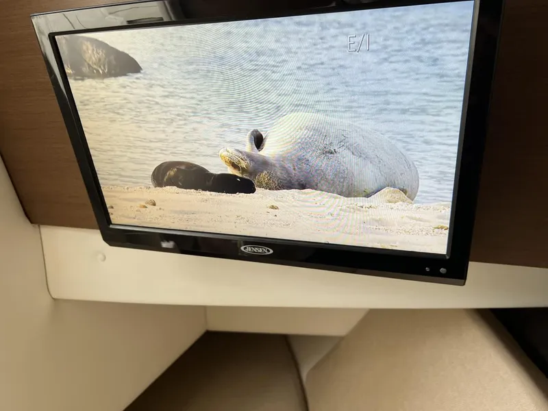 Slide: The Image of TV screen displaying a seal on a beach inside a 2016 Sea Ray 350 SLX boat. - 20