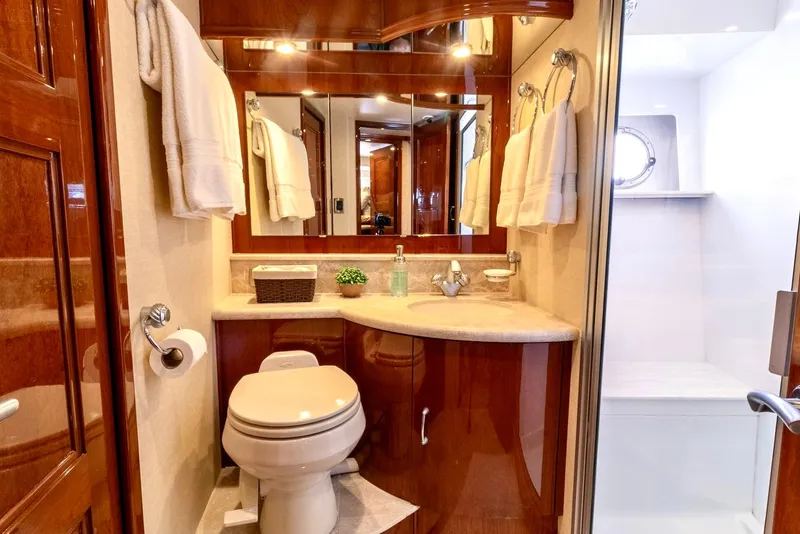 Slide: The Image of VIP / Guest Head &amp; Shower  - 47