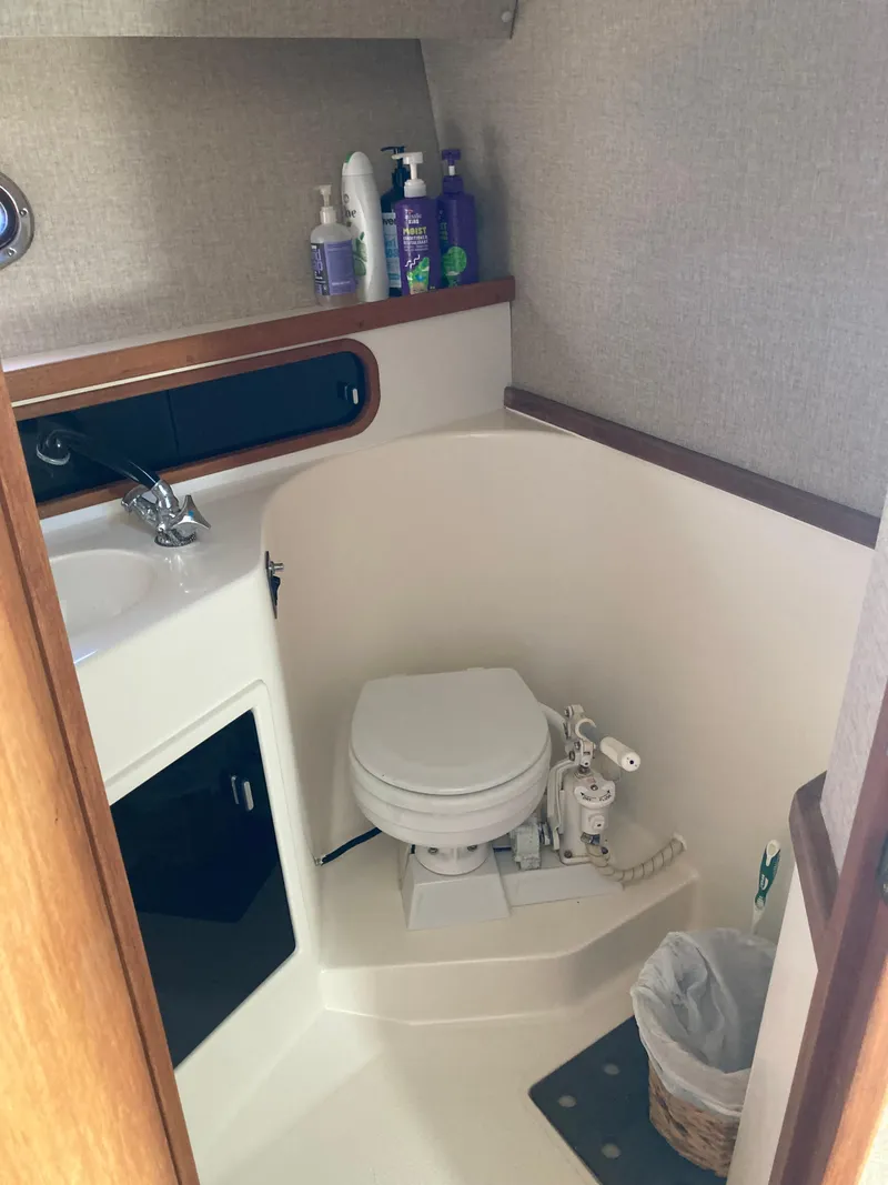 Slide: The Image of Head - 11