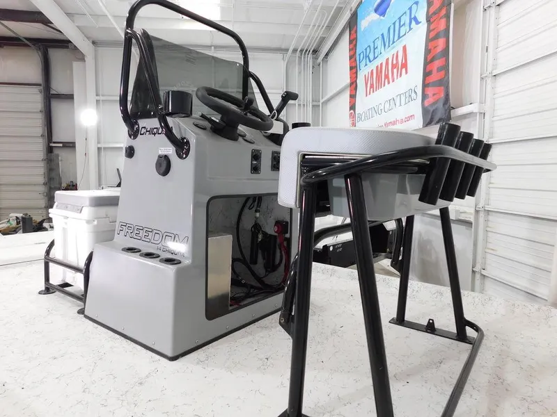 Slide: The Image of Freedom 14 CHIQUITA 2024 - 11