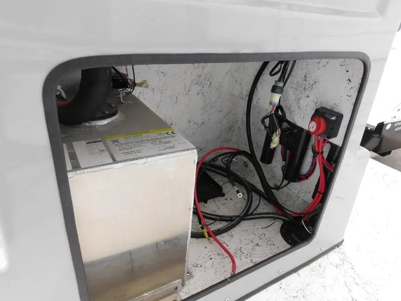 Slide: The Image of Freedom 14 CHIQUITA 2024 - 14