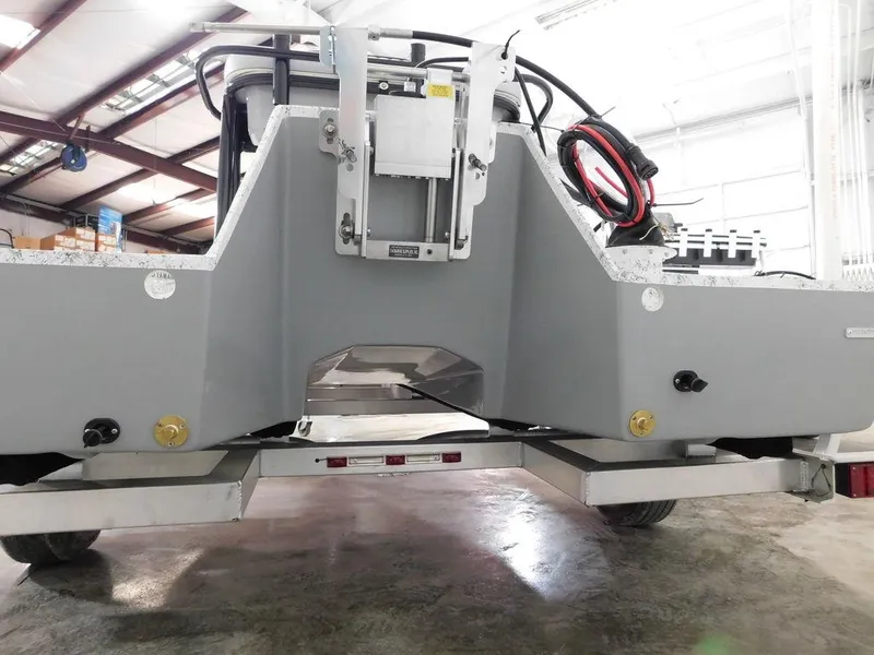 Slide: The Image of Freedom 14 CHIQUITA 2024 - 16