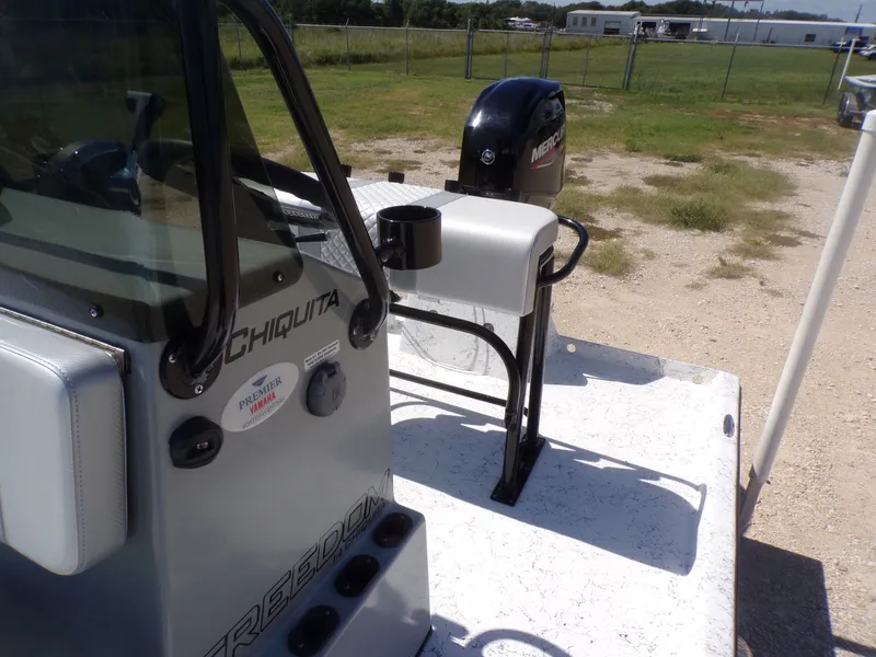 Slide: The Image of Freedom 14 CHIQUITA 2024 - 18