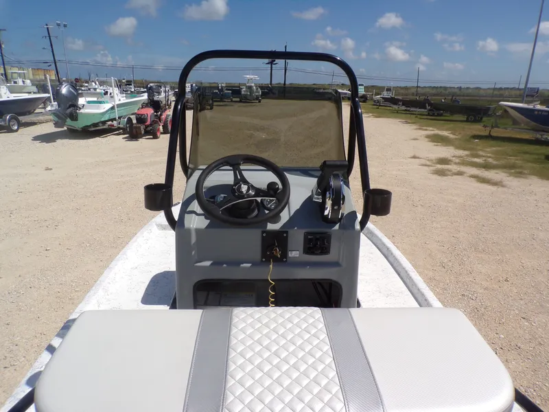 Slide: The Image of Freedom 14 CHIQUITA 2024 - 20