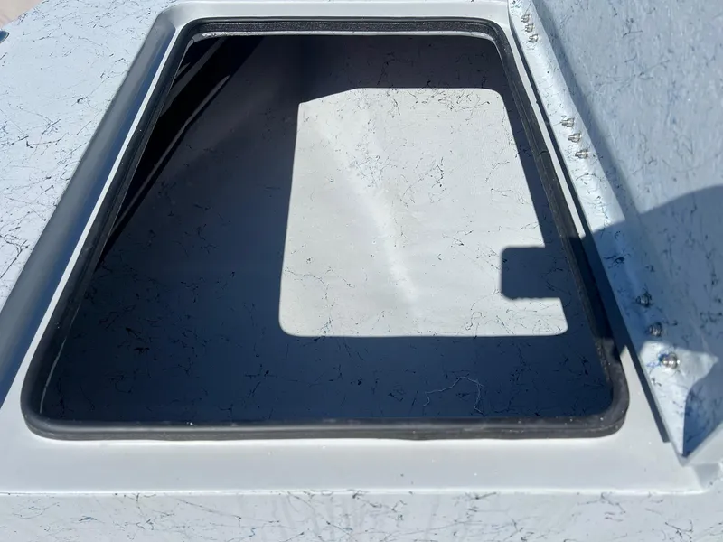 Slide: The Image of Freedom 18 PATRIOT CAT 2025 - 19