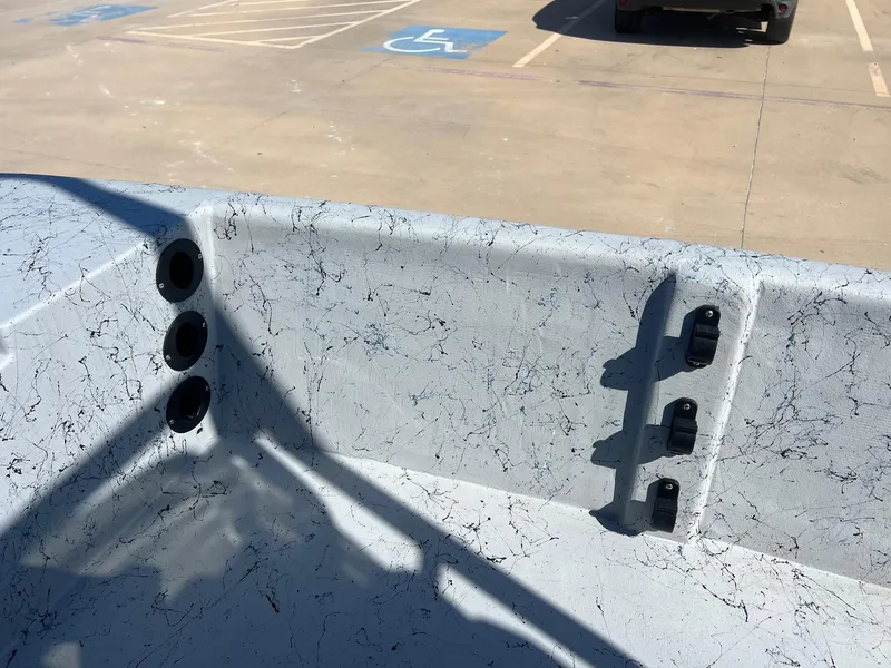 Slide: The Image of Freedom 18 PATRIOT CAT 2025 - 21