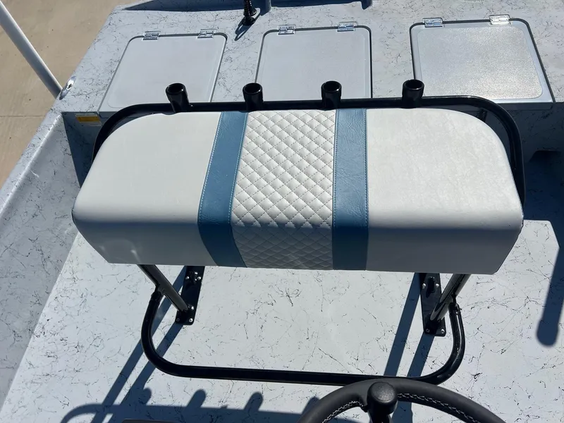 Slide: The Image of Freedom 18 PATRIOT CAT 2025 - 29