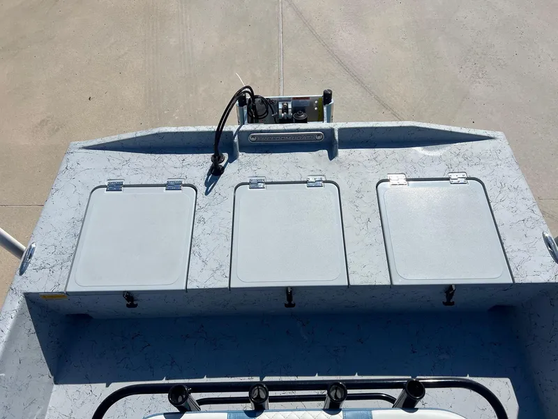 Slide: The Image of Freedom 18 PATRIOT CAT 2025 - 32