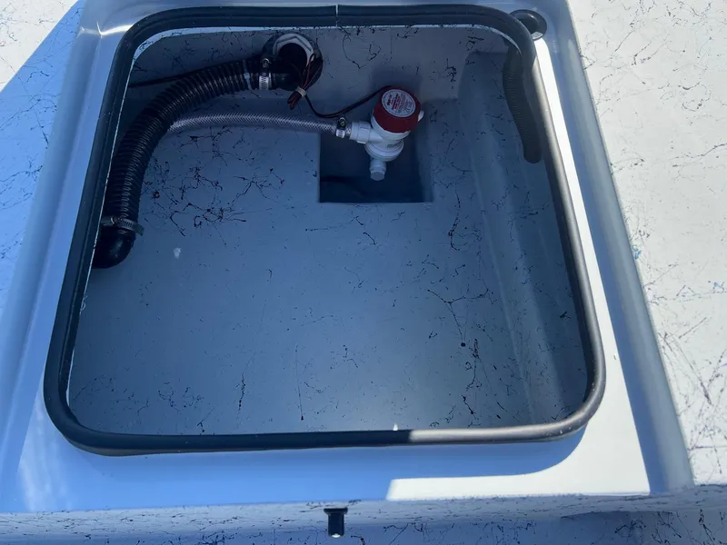 Slide: The Image of Freedom 18 PATRIOT CAT 2025 - 34