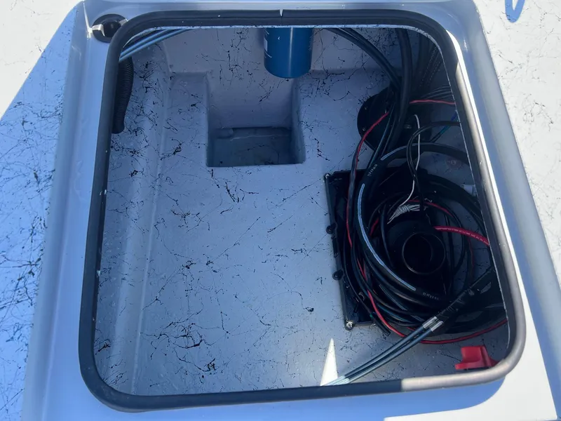 Slide: The Image of Freedom 18 PATRIOT CAT 2025 - 36