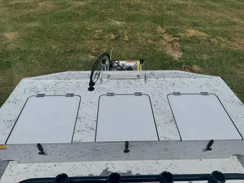 Slide: The Image of Freedom 18 PATRIOT CAT 2025 - 19