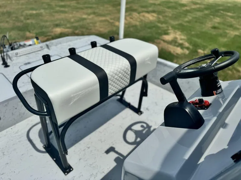 Slide: The Image of Freedom 18 PATRIOT CAT 2025 - 21