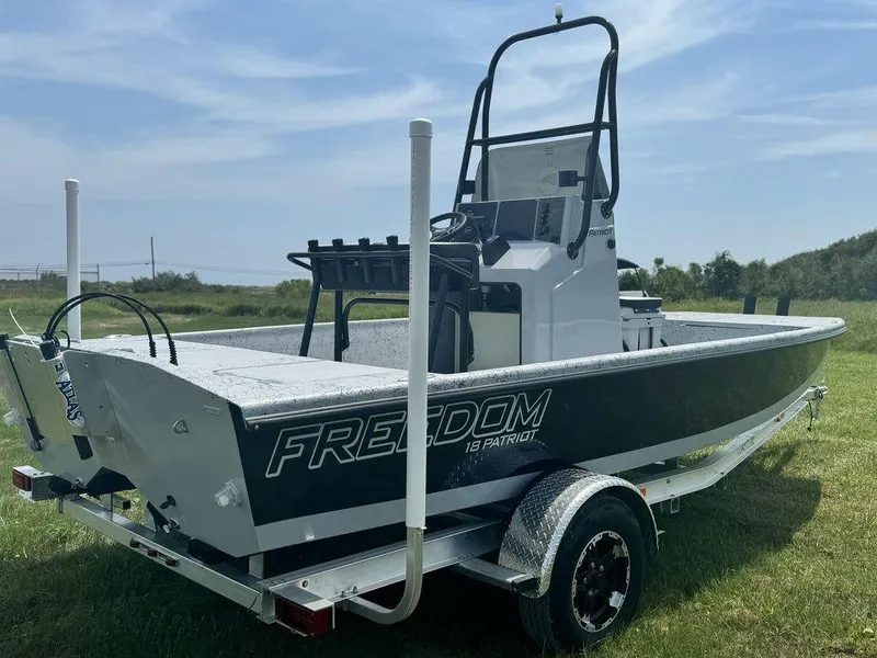 Slide: The Image of Freedom 18 PATRIOT CAT 2025 - 9