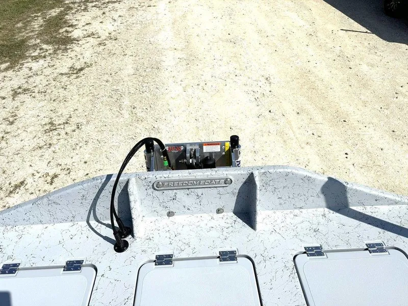 Slide: The Image of Freedom Eagle 16 2025 - 17