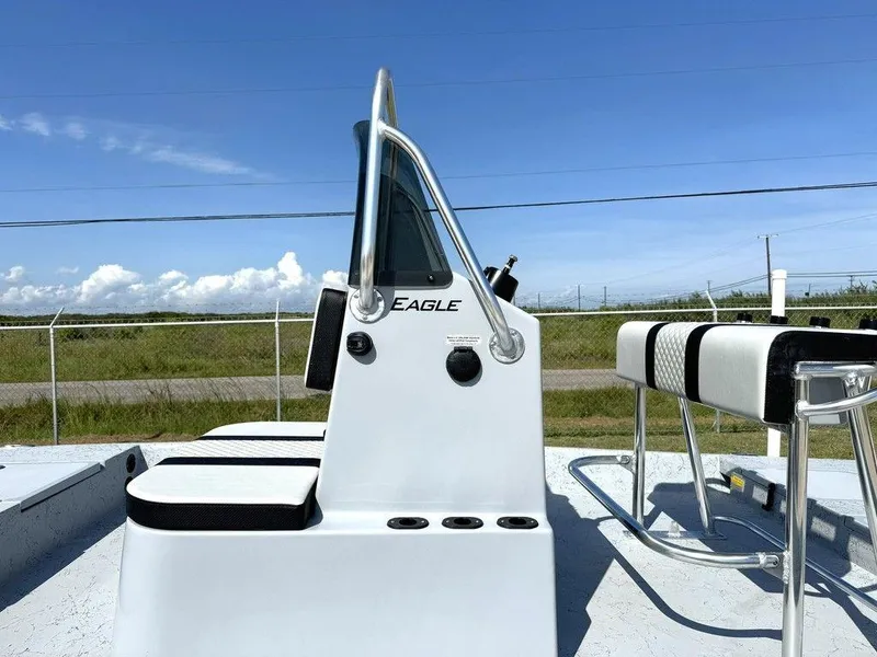 Slide: The Image of Freedom Eagle 16 2025 - 21