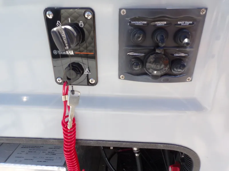 Slide: The Image of Control panel of Freedom Eagle 16 boat, year 2025. - 29