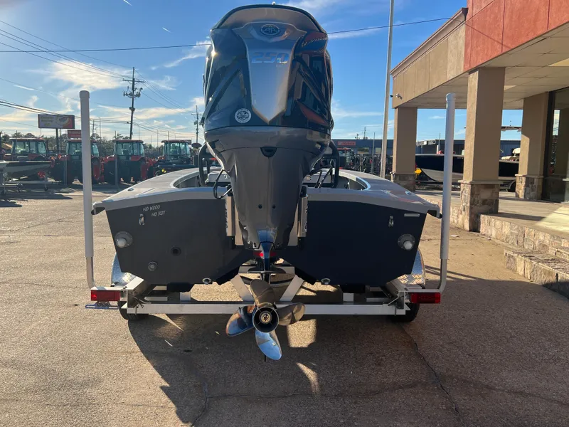 Slide: The Image of Freedom Warrior 23 2025 - 10