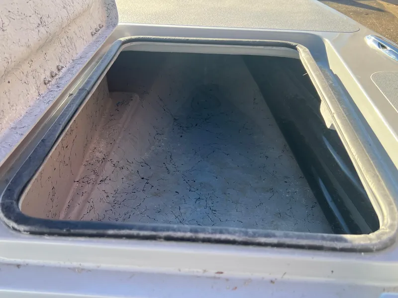 Slide: The Image of Freedom Warrior 23 2025 - 17