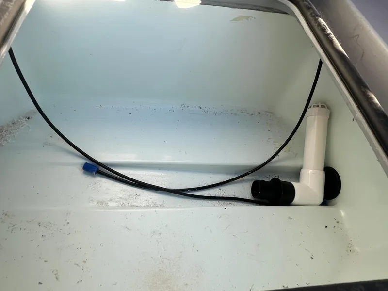 Slide: The Image of Freedom Warrior 23 2025 - 41