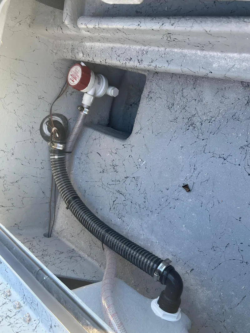 Slide: The Image of Freedom Warrior 23 2025 - 42