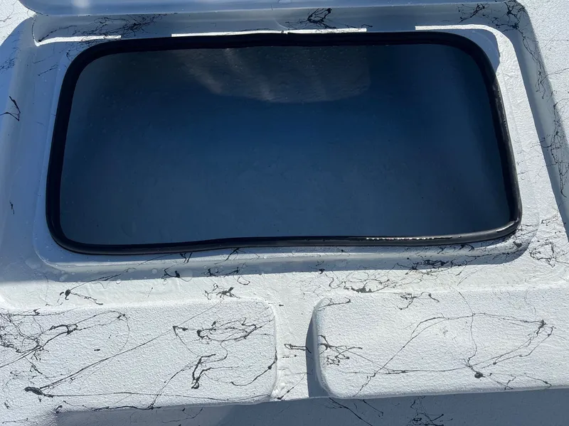 Slide: The Image of Shoalwater 21 Cat 2025 - 15