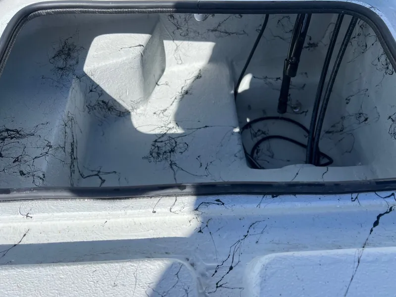 Slide: The Image of Shoalwater 21 Cat 2025 - 29