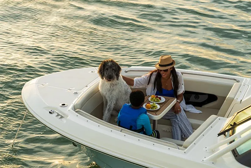 Slide: The Image of 2023-Boston-Whaler-240-Vantage-MarineMax - 38