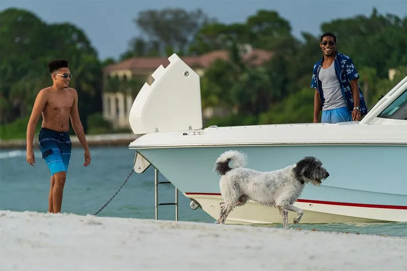 Slide: The Image of 2023-Boston-Whaler-240-Vantage-MarineMax - 66