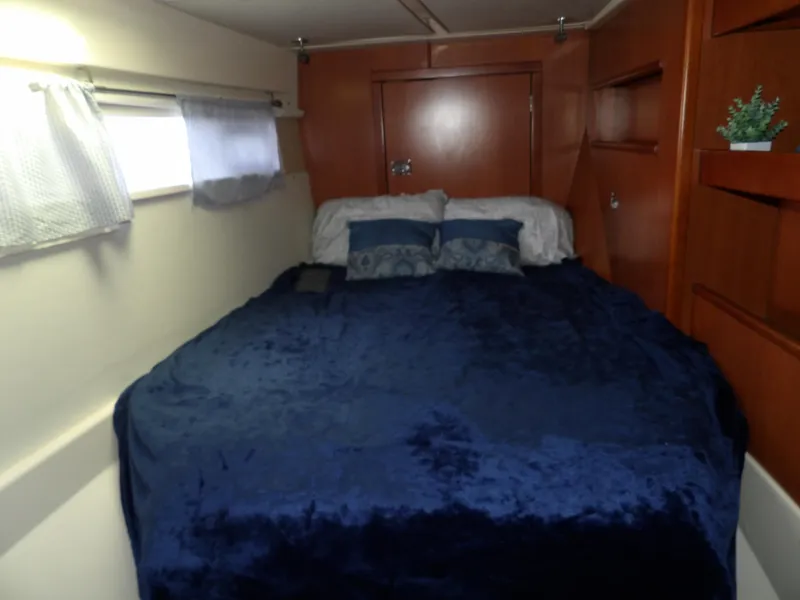 Slide: The Image of Leopard 48 2014 - 75