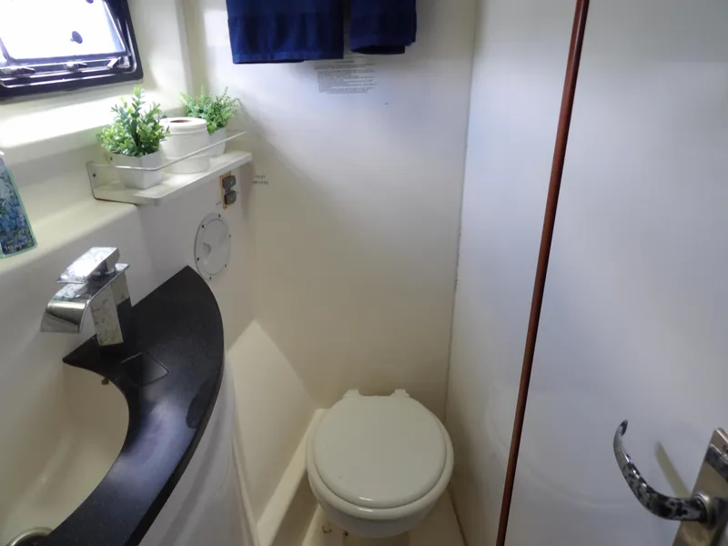 Slide: The Image of Leopard 48 2014 - 77