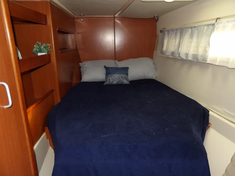 Slide: The Image of Leopard 48 2014 - 81