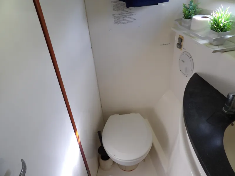 Slide: The Image of Leopard 48 2014 - 84