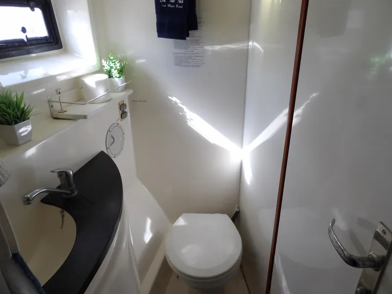 Slide: The Image of Leopard 48 2014 - 87