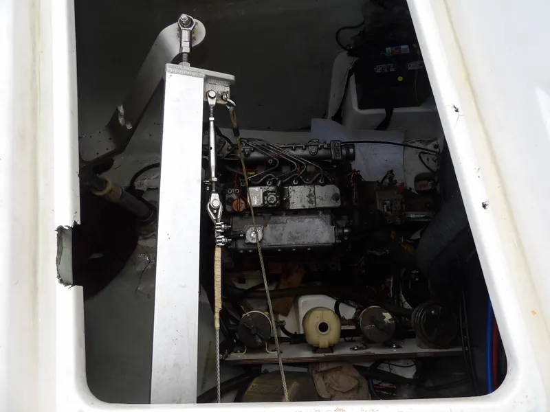 Slide: The Image of Leopard 48 2014 - 89