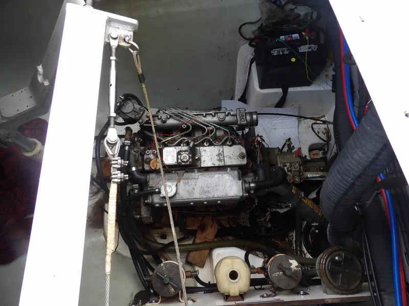 Slide: The Image of Leopard 48 2014 - 90