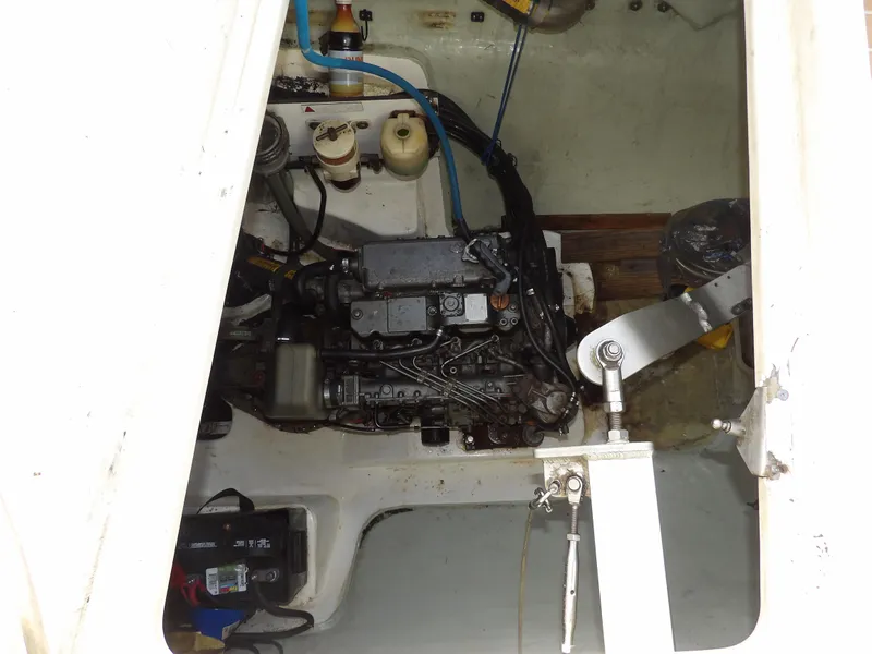 Slide: The Image of Leopard 48 2014 - 92